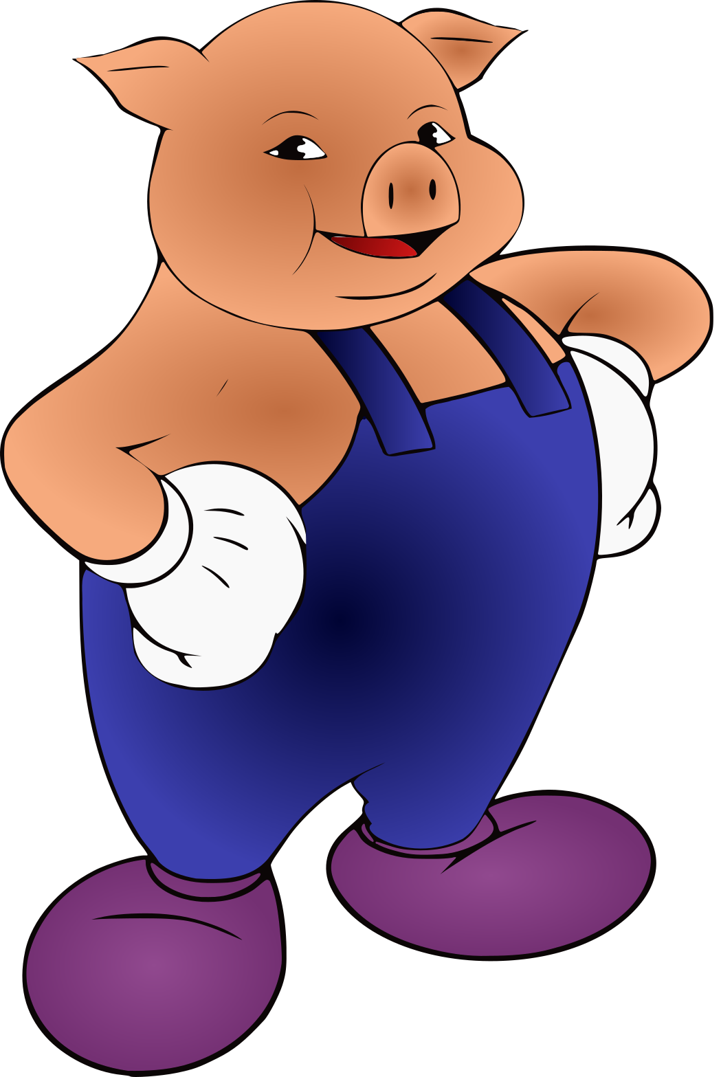 Apache Pig